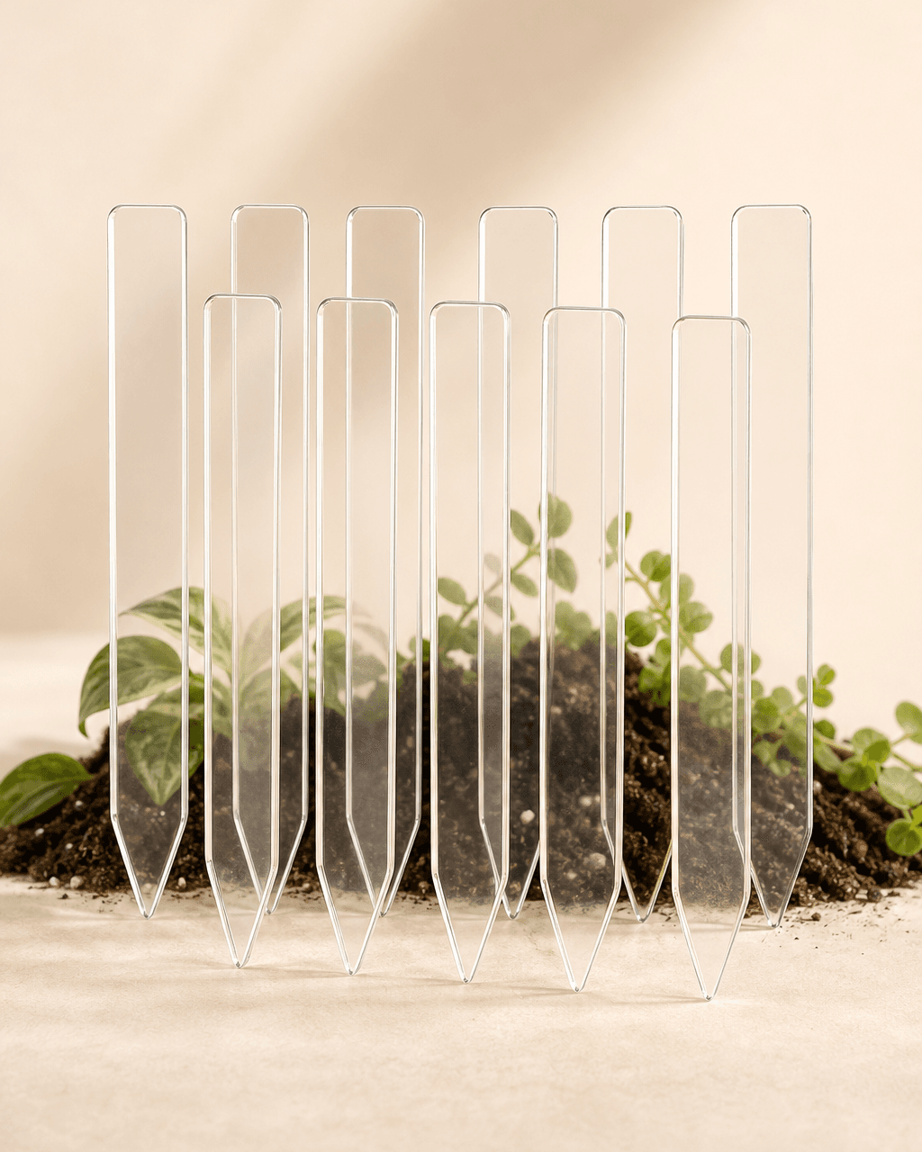 Transparente Pflanzenetiketten